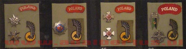 odznaki 1 dywizji pancernej ze zbiorów MWP